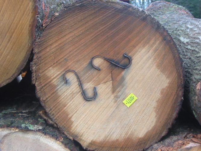 Logs Zuroski Lumber Inc.